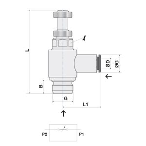 BIDIRECTIONAL FLOW REGULATOR Ø6 - G1/8